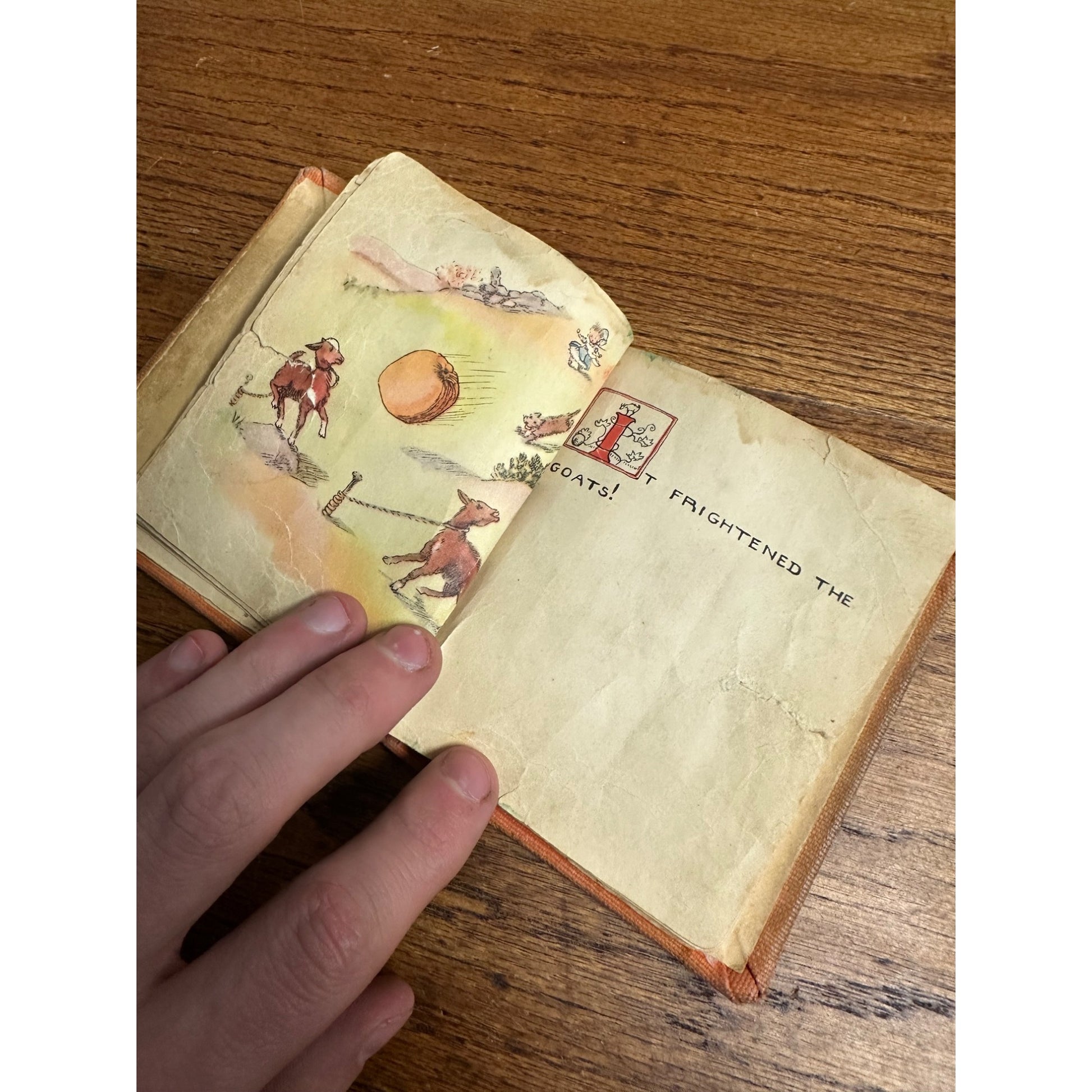 SCARCE Pumpkin Moonshine Tasha Tudor (1938) Hardcover 1st Edition Halloween JOL
