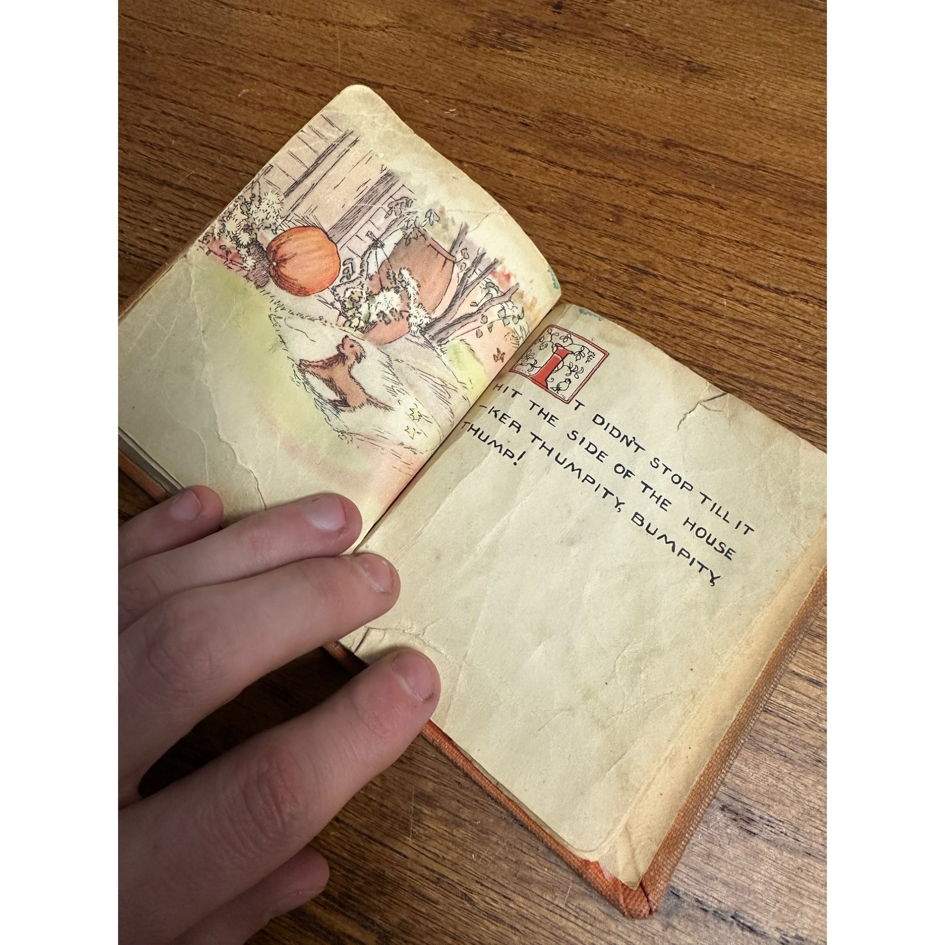 SCARCE Pumpkin Moonshine Tasha Tudor (1938) Hardcover 1st Edition Halloween JOL