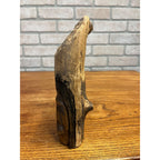 Vintage Wawa Canada Beaver Chewed Wood Carving Folk Art Face Sculpture Rustic