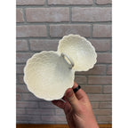 Berkeley Ceramic Double Serving Dish White Scalloped Petal Pattern Vintage 1960s