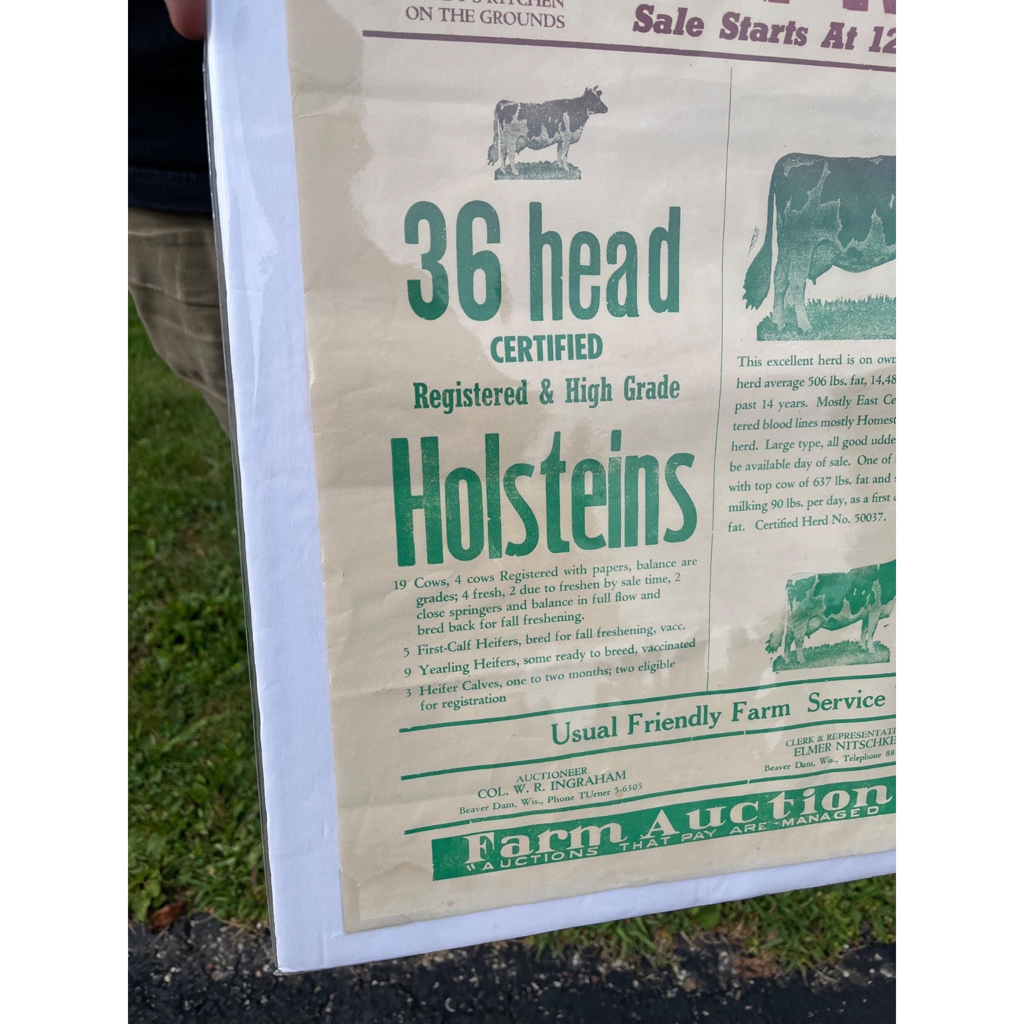 Vintage Wisconsin Farm Livestock Cow Auction Poster Sign Burnett Wis