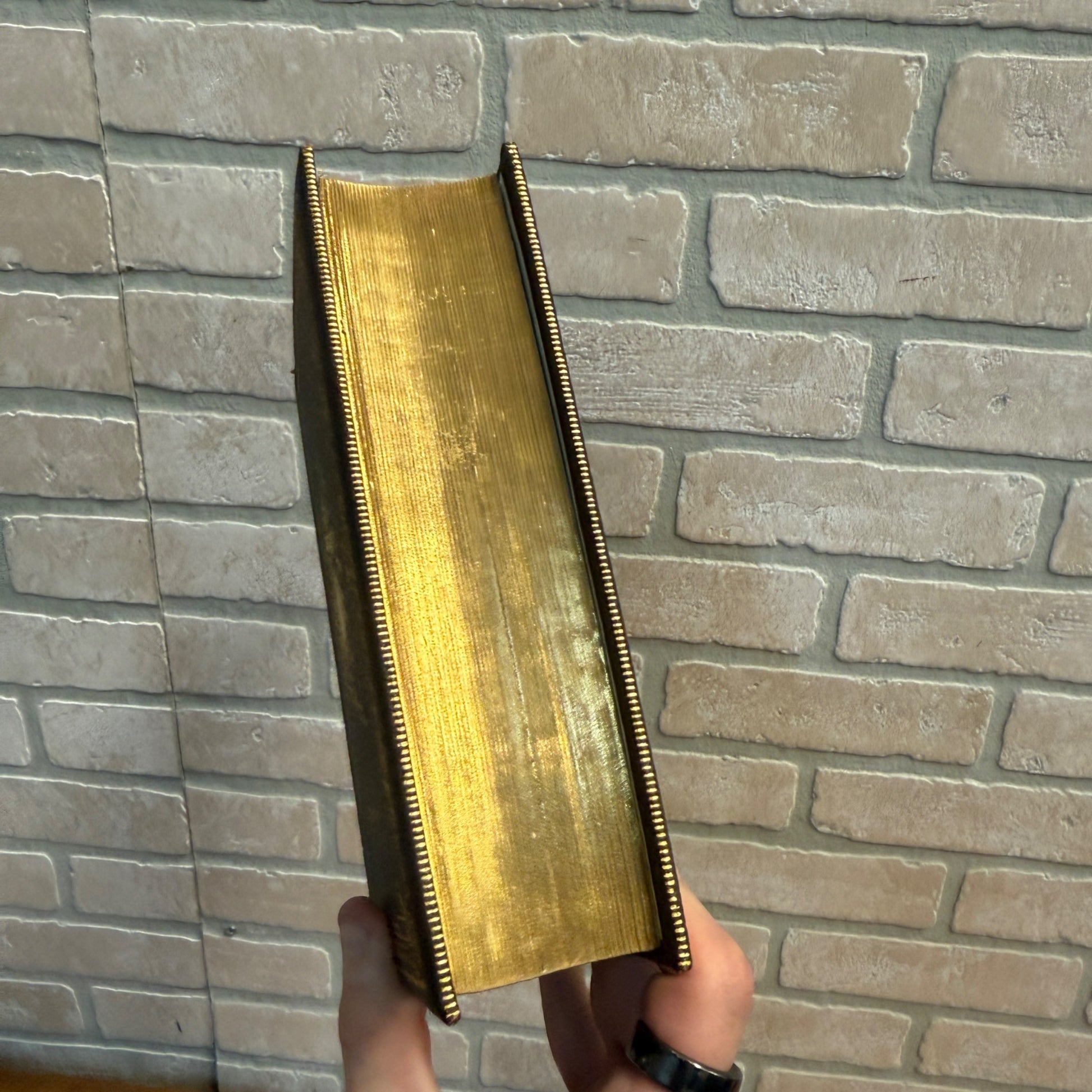 Antique German Bible Martin Luther (1900) Ornate Gold Gilt Hardcover
