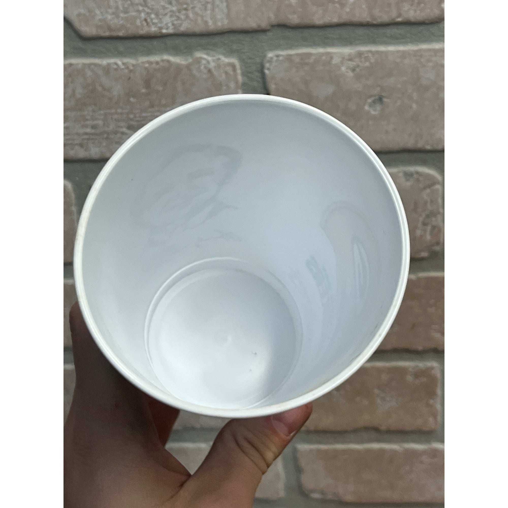 Vintage 1988 Hardee's Green Bay Packers Collectors Plastic Cup The Blitz