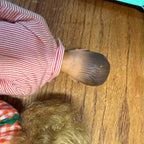 Vintage Tammy Ideal Toys Doll Lot W/ Clothes and Carry Case