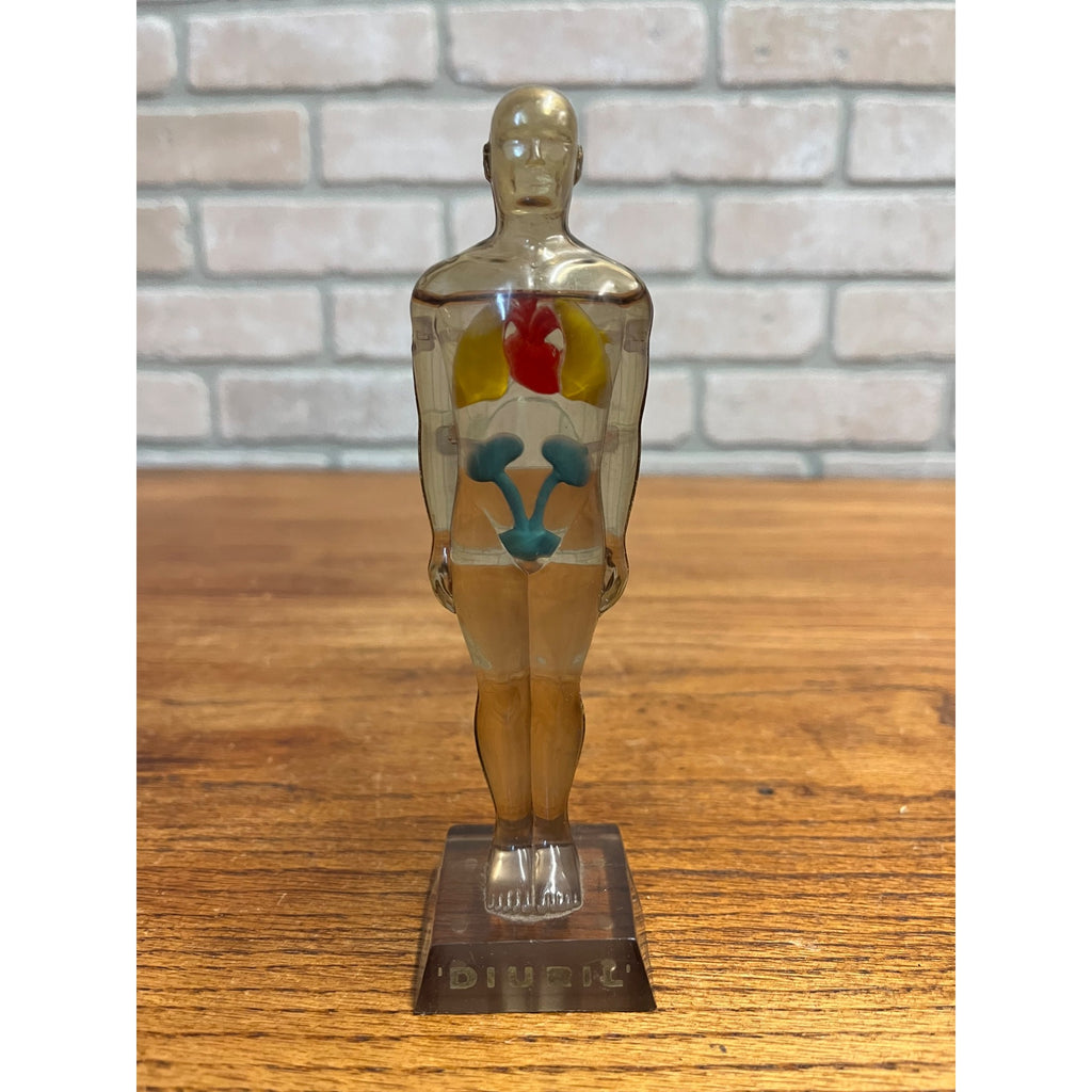 Vintage 1950s Hydro Diuril Merck Sharp Dohme Pharmaceutical Advertising Figure