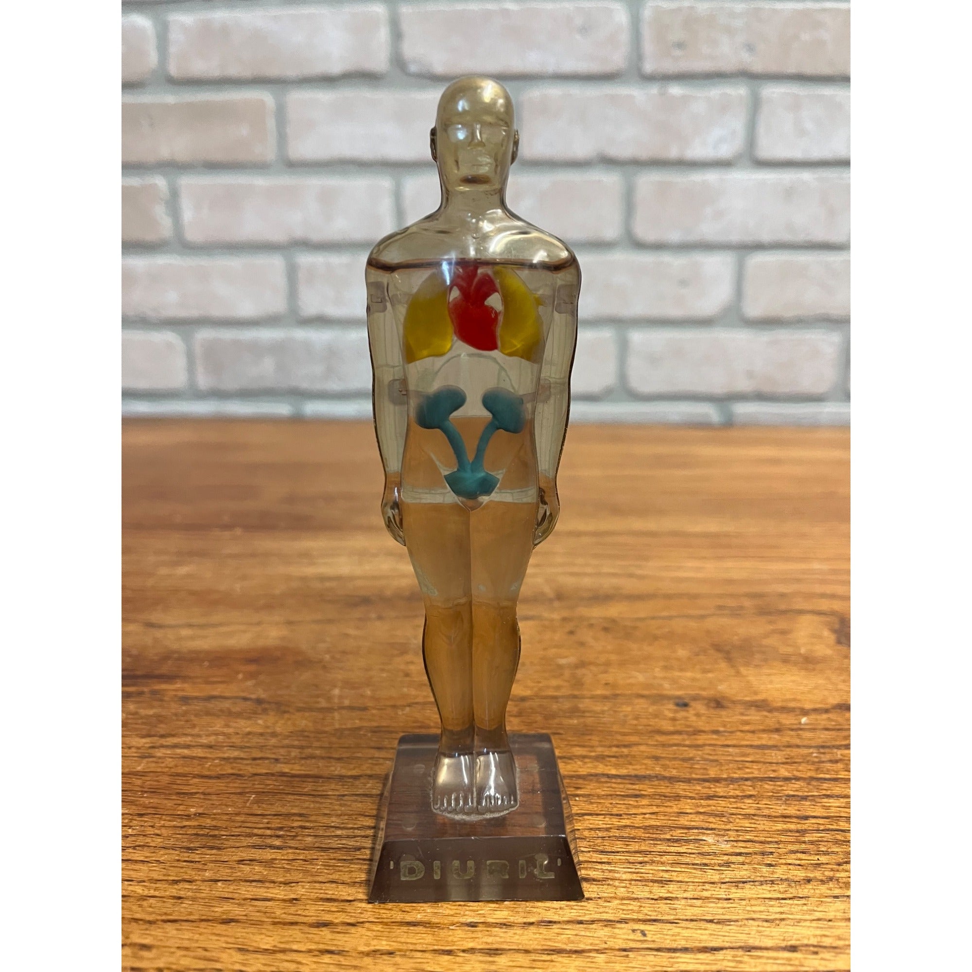 Vintage 1950s Hydro Diuril Merck Sharp Dohme Pharmaceutical Advertising Figure