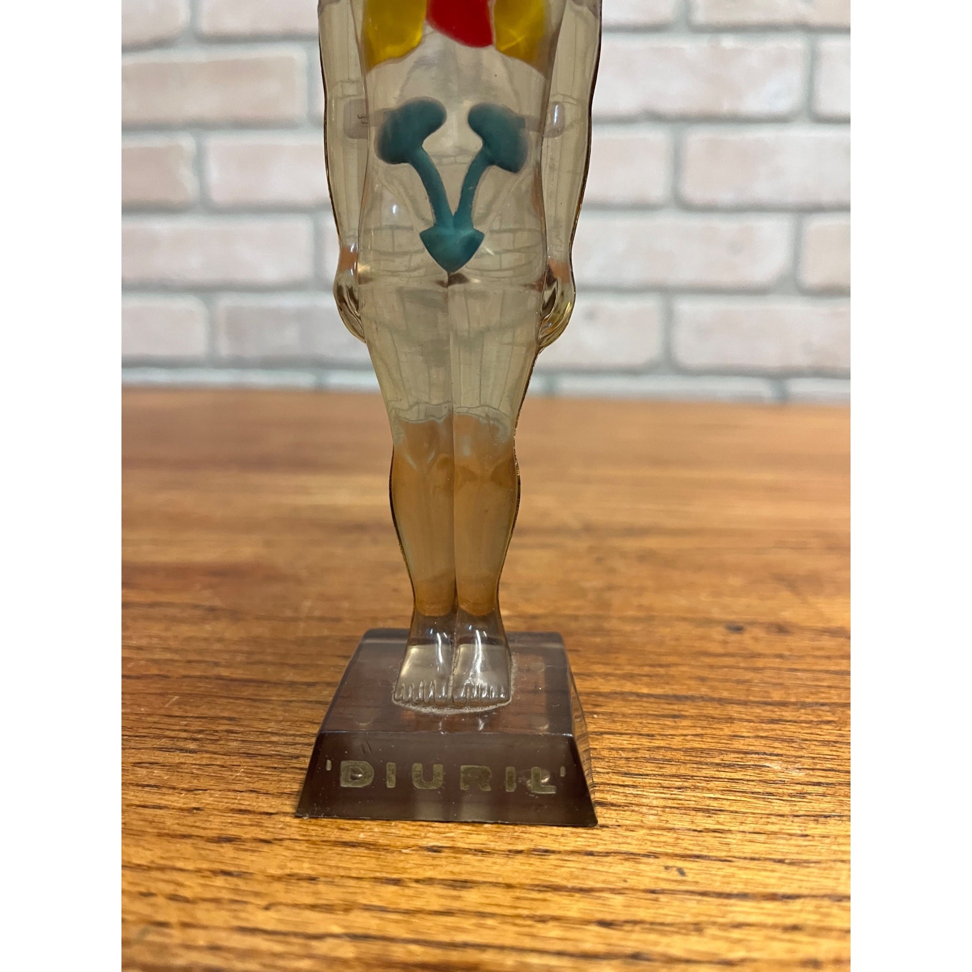 Vintage 1950s Hydro Diuril Merck Sharp Dohme Pharmaceutical Advertising Figure