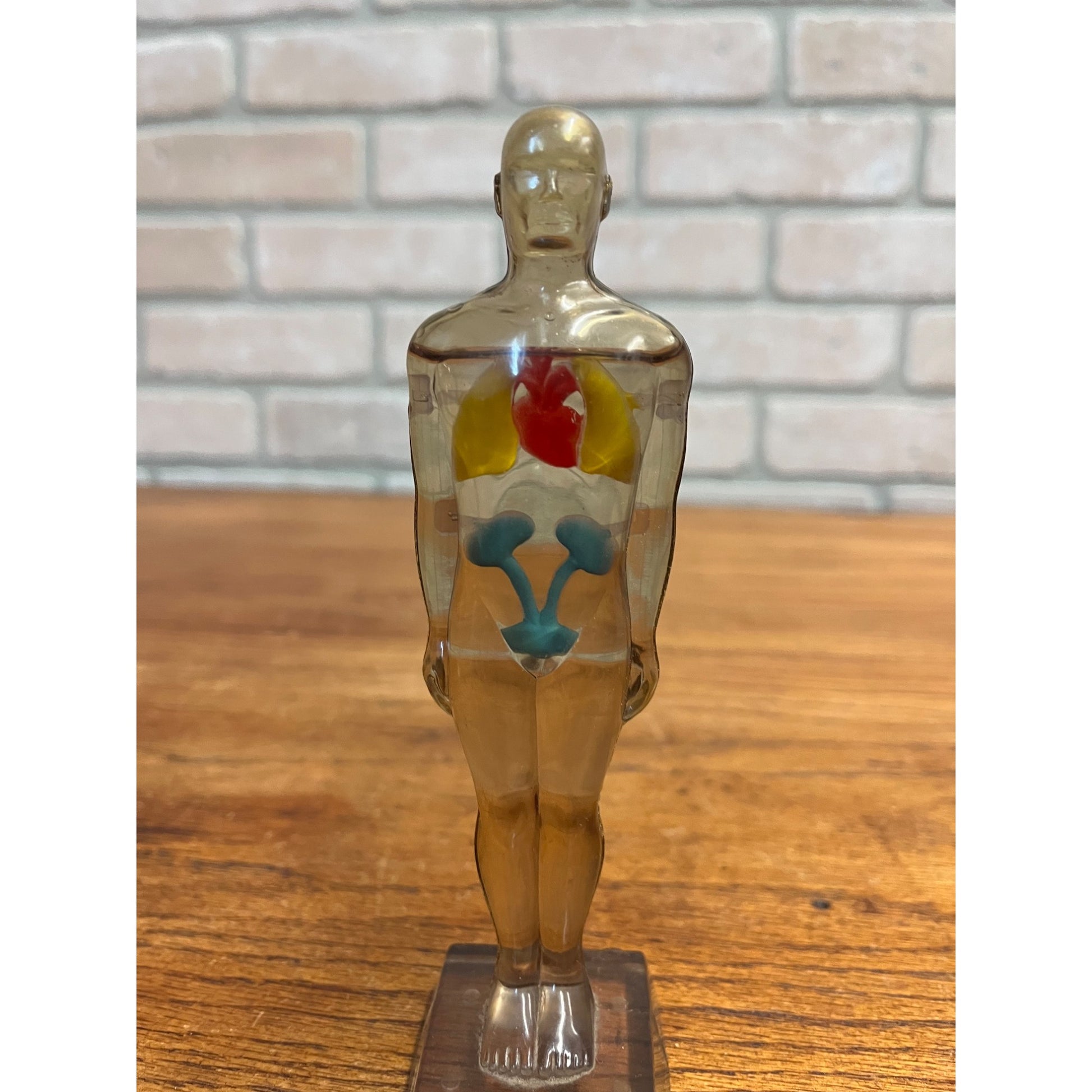 Vintage 1950s Hydro Diuril Merck Sharp Dohme Pharmaceutical Advertising Figure