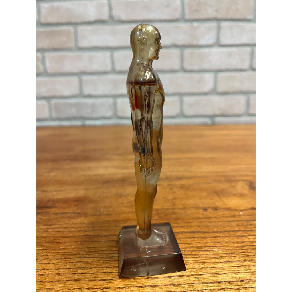 Vintage 1950s Hydro Diuril Merck Sharp Dohme Pharmaceutical Advertising Figure