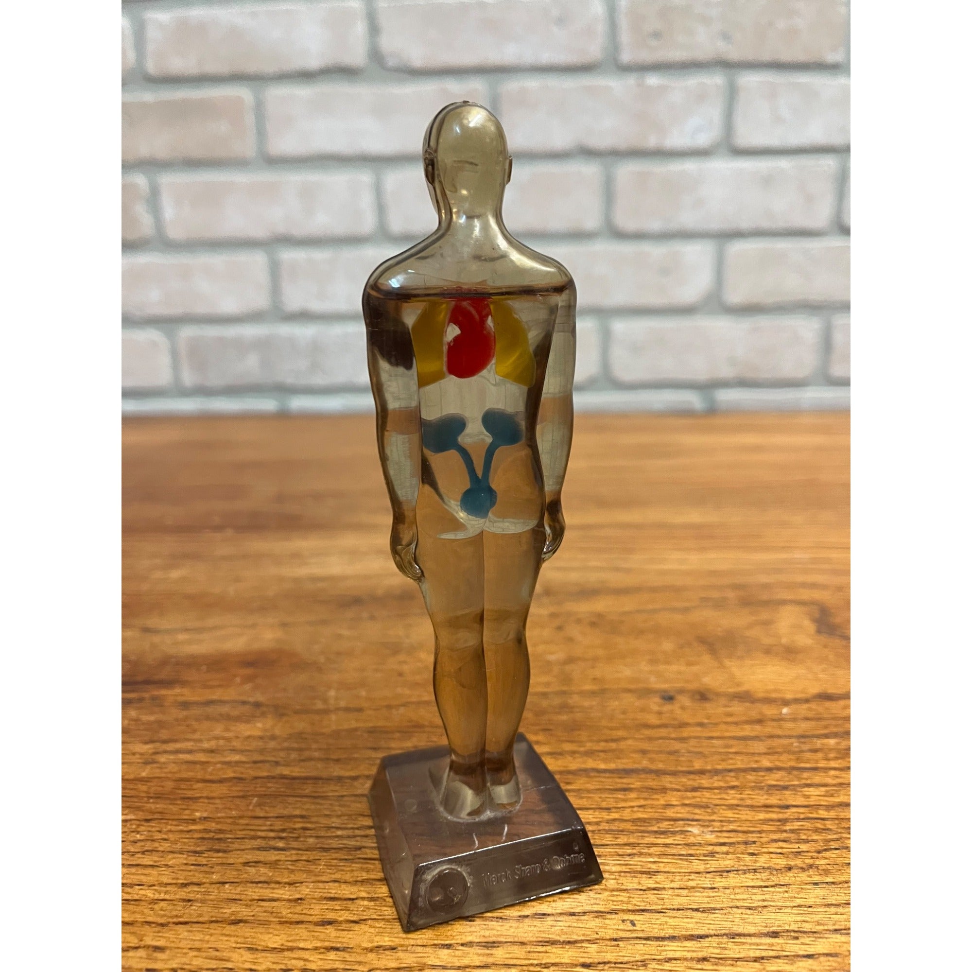 Vintage 1950s Hydro Diuril Merck Sharp Dohme Pharmaceutical Advertising Figure