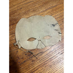 SCARCE Antique Halloween Beistle Domino Party Mask 1926-1931 Hat OWL Vintage