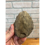 Original Paleolithic or Native American Indian Stone Hand Tool Wisconsin Find