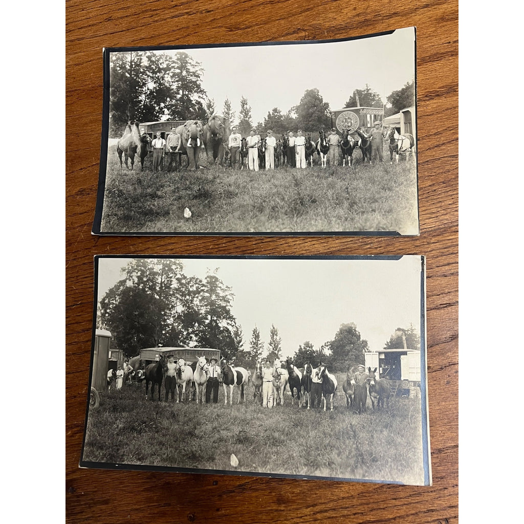 Vintage Early 1900s Photos of Seils Sterling Travelling Circus Marshall, IL