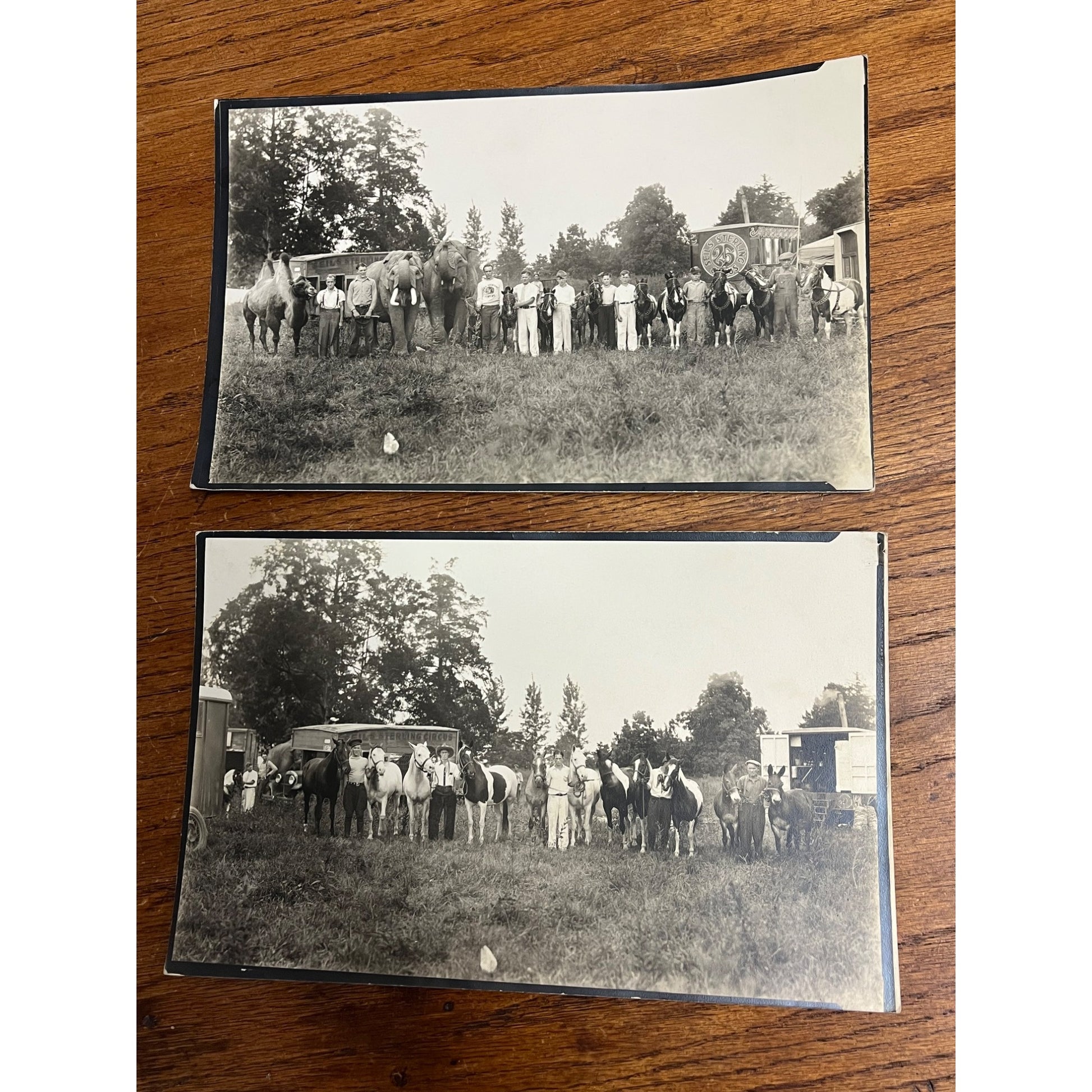 Vintage Early 1900s Photos of Seils Sterling Travelling Circus Marshall, IL
