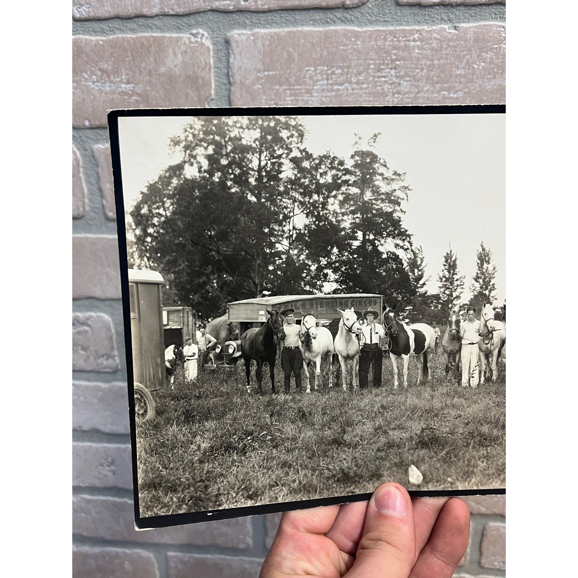 Vintage Early 1900s Photos of Seils Sterling Travelling Circus Marshall, IL