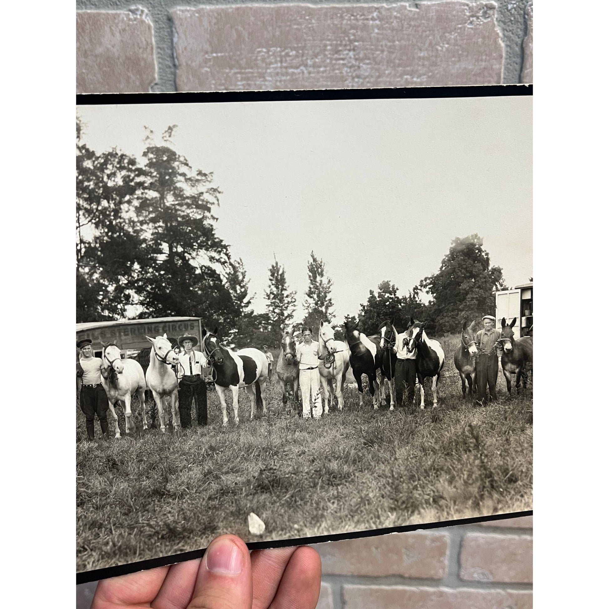 Vintage Early 1900s Photos of Seils Sterling Travelling Circus Marshall, IL