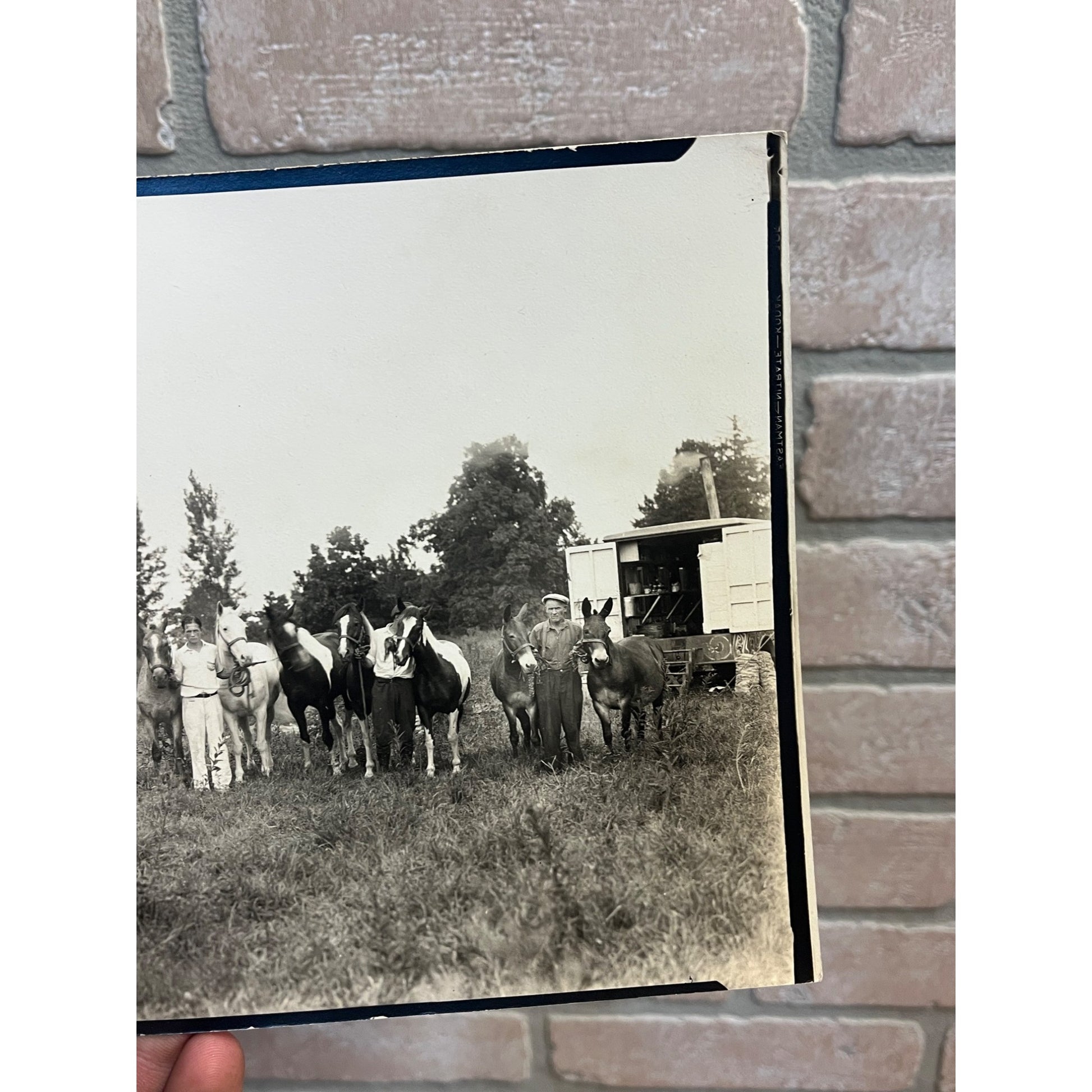 Vintage Early 1900s Photos of Seils Sterling Travelling Circus Marshall, IL