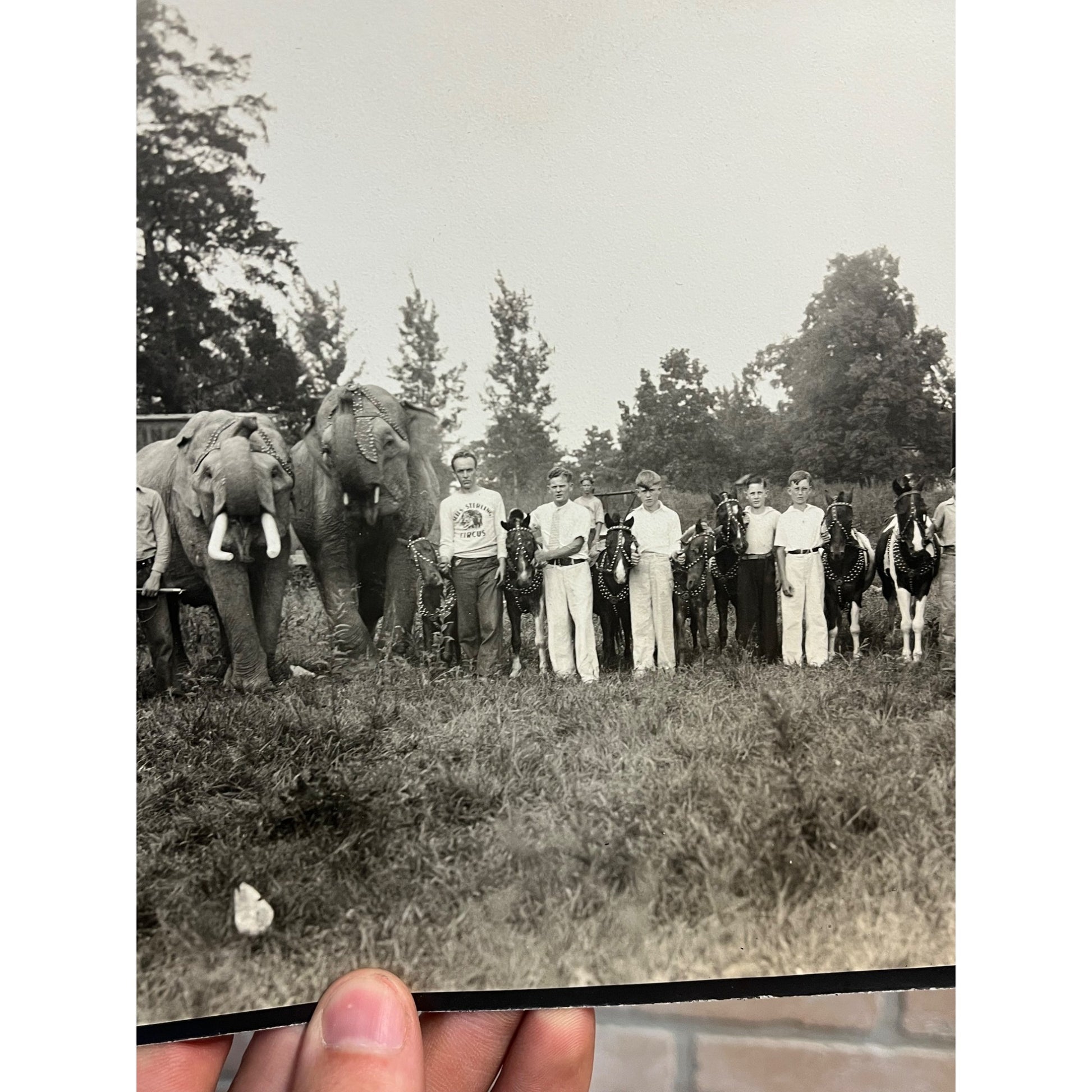 Vintage Early 1900s Photos of Seils Sterling Travelling Circus Marshall, IL