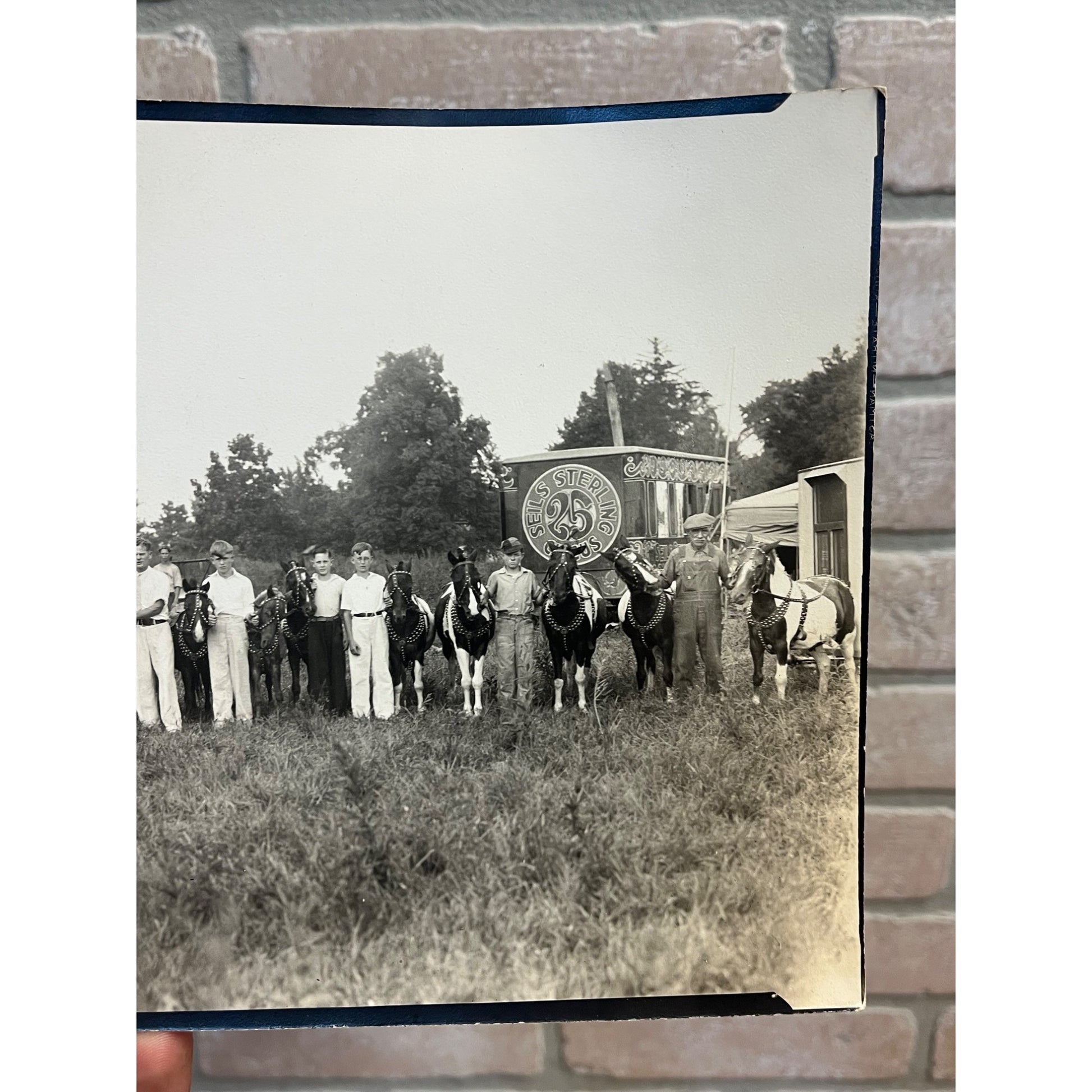 Vintage Early 1900s Photos of Seils Sterling Travelling Circus Marshall, IL