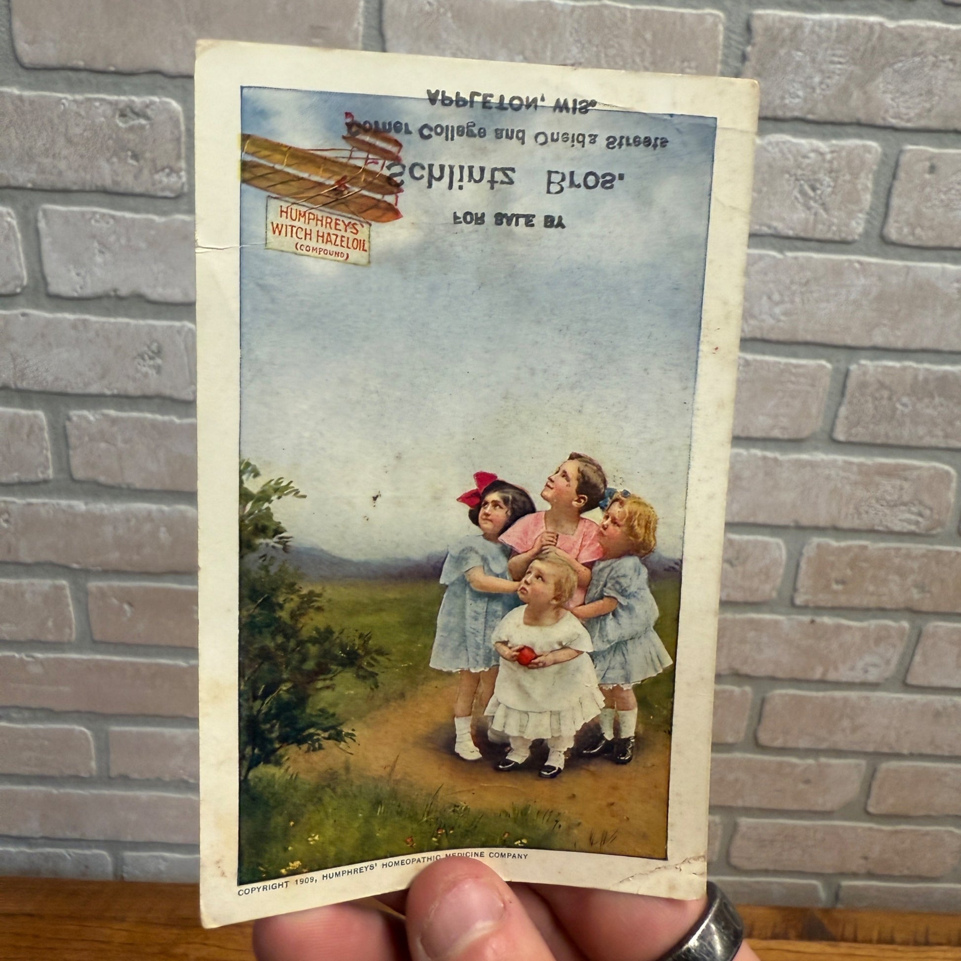 Vintage Witch Hazel Oil Advertisng Trade Card Appleton Schlitz Bros