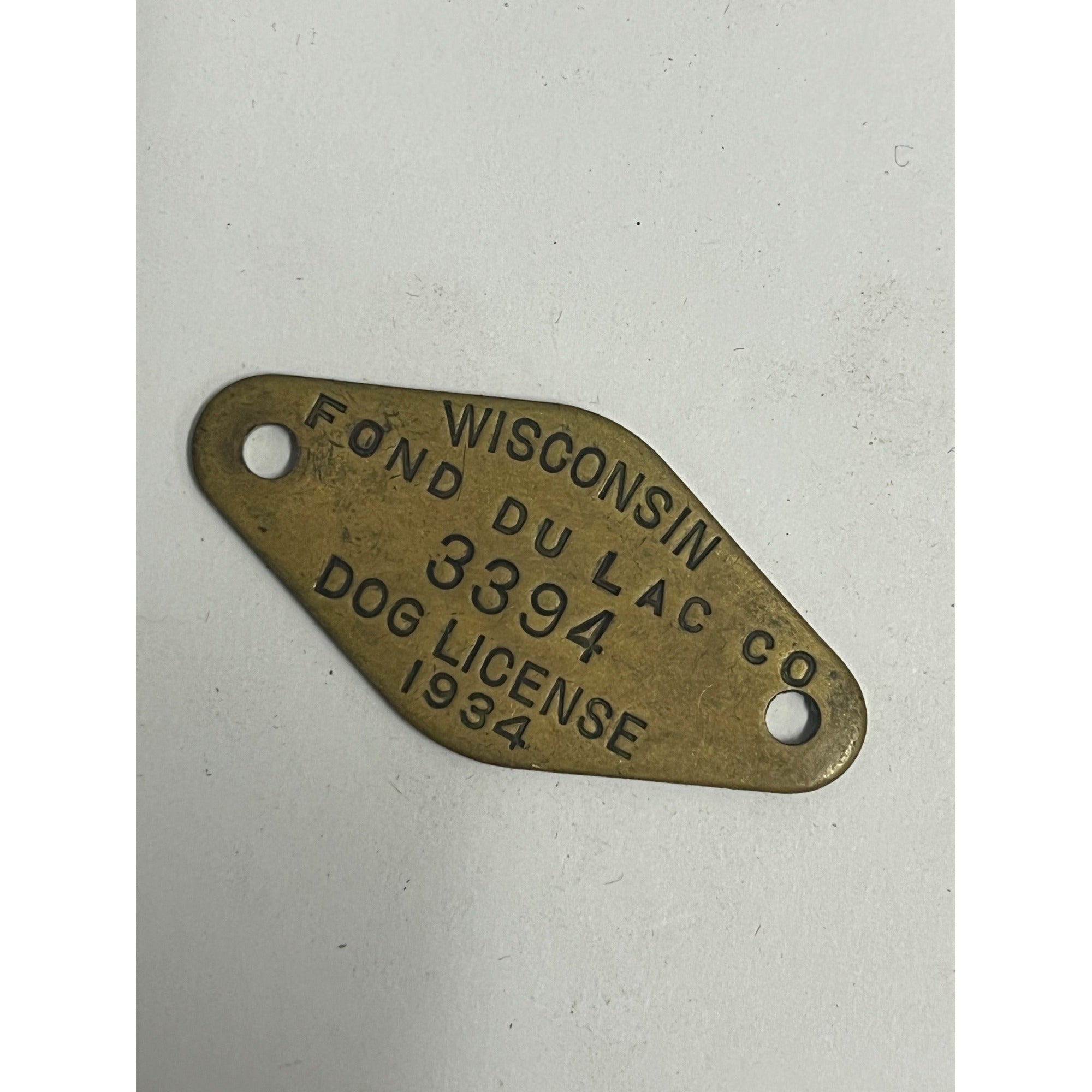 Vintage Dog License Tag Fond du Lac County, Wisconsin 1934