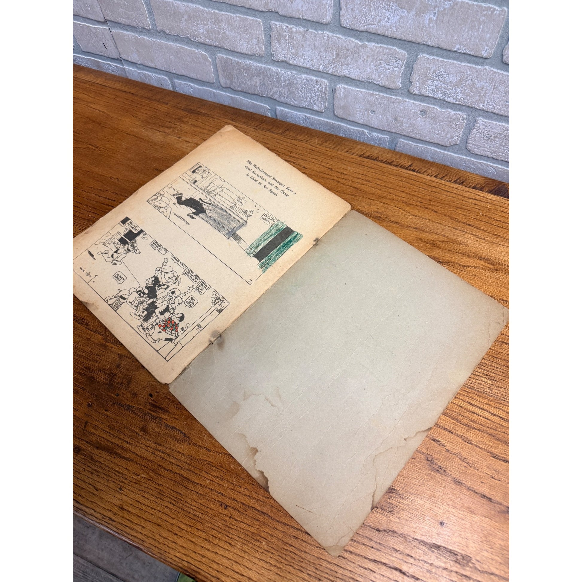 Lady Bountiful by Gene Carr (Saalfield Publishing 1917) Rare Platinum Age Comic