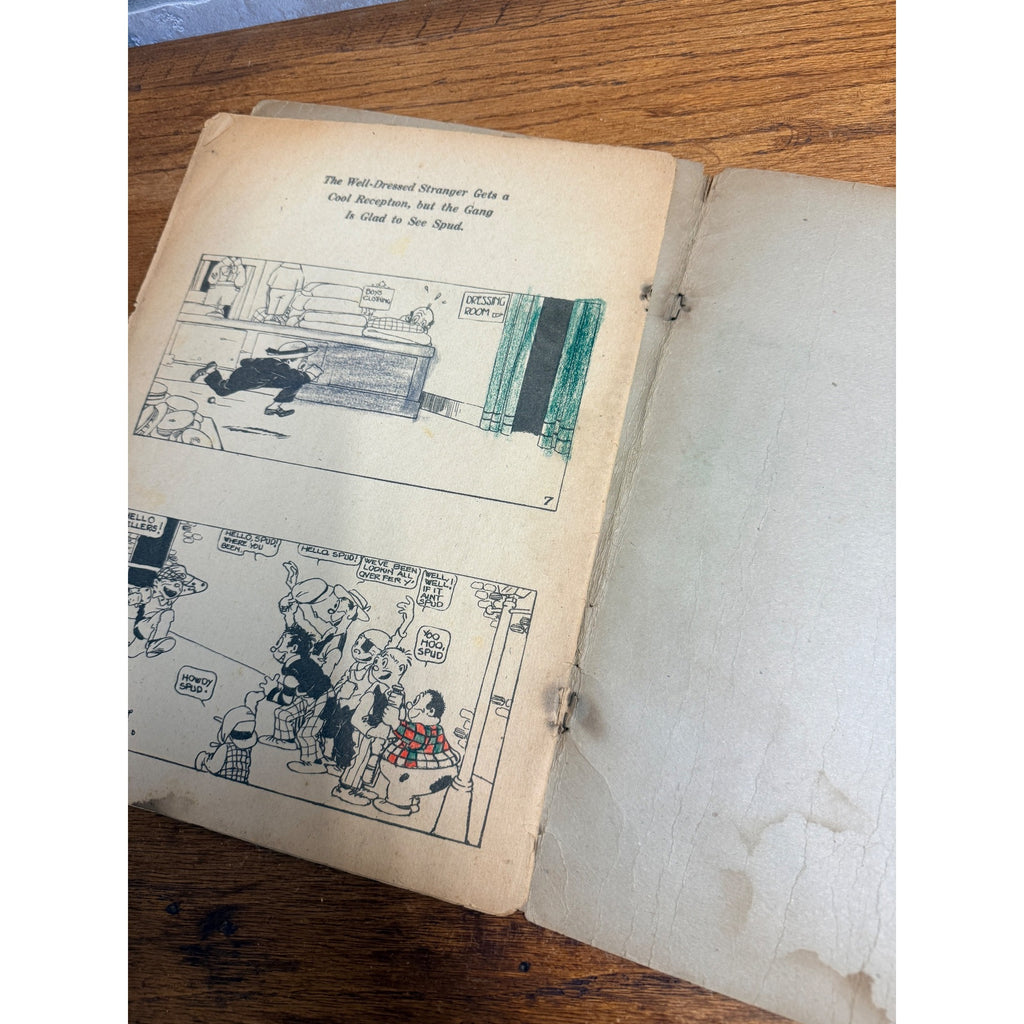 Lady Bountiful by Gene Carr (Saalfield Publishing 1917) Rare Platinum Age Comic