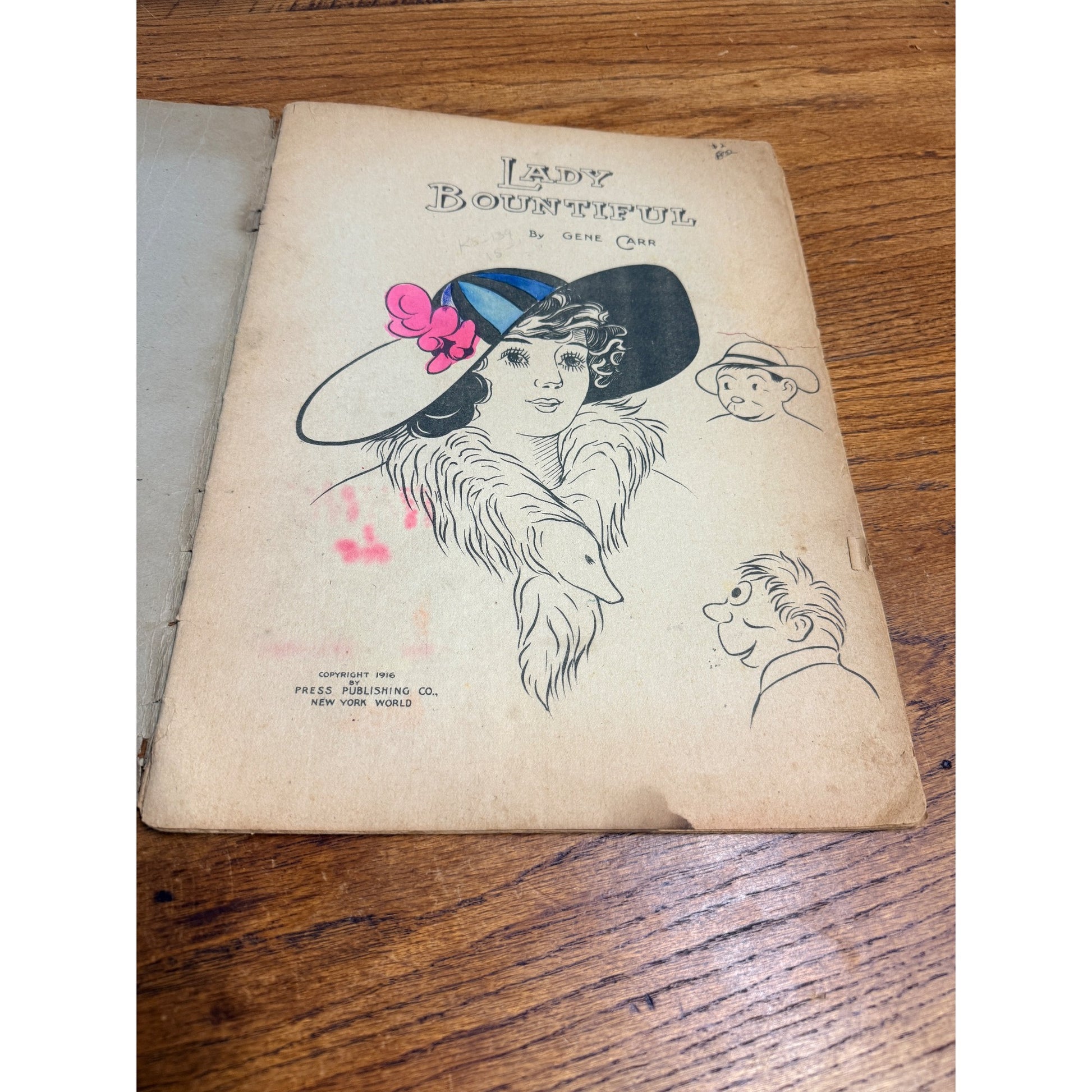 Lady Bountiful by Gene Carr (Saalfield Publishing 1917) Rare Platinum Age Comic