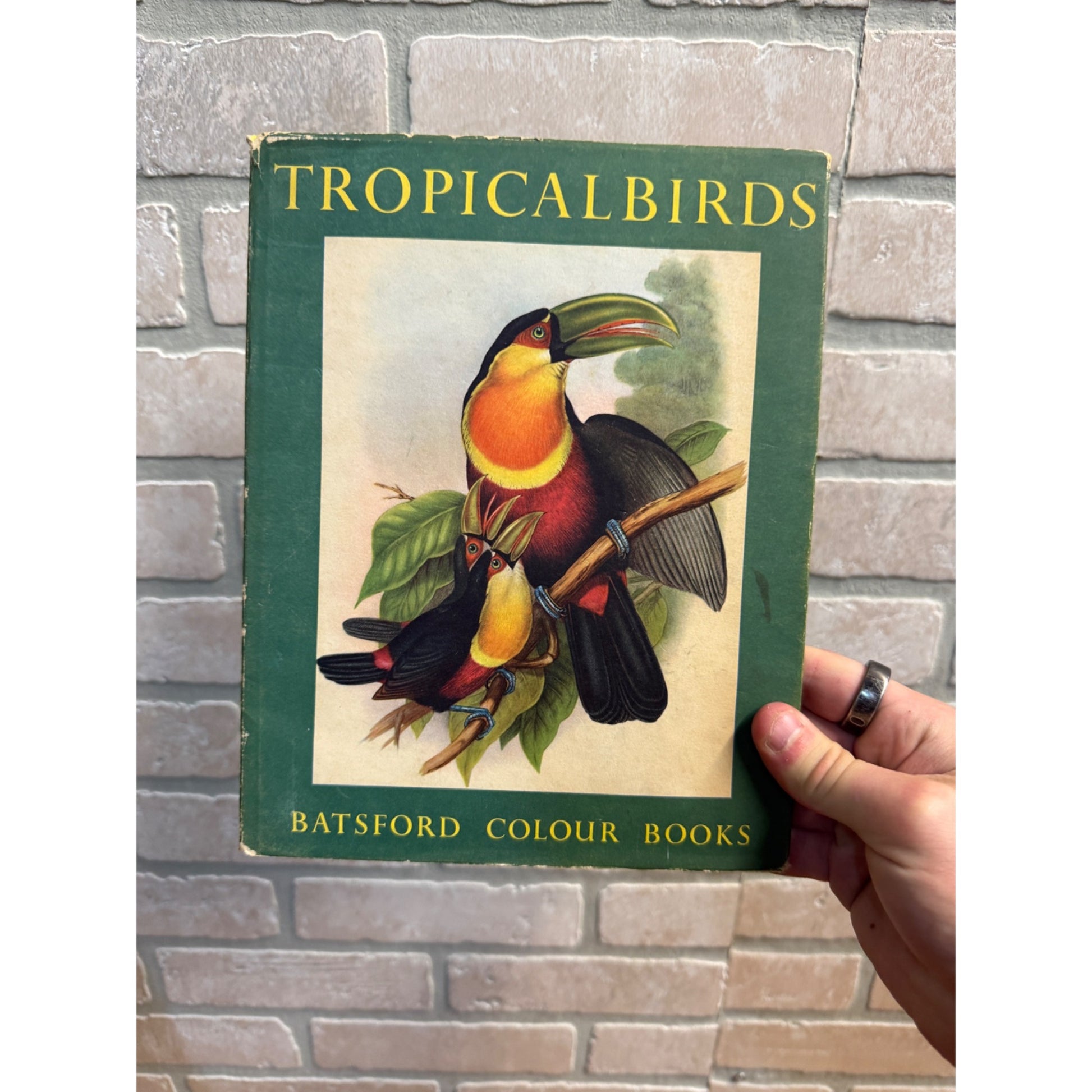 Tropical Birds Plates/pix by John Gould Sacheverell Sitwell Batsford Colour 1948