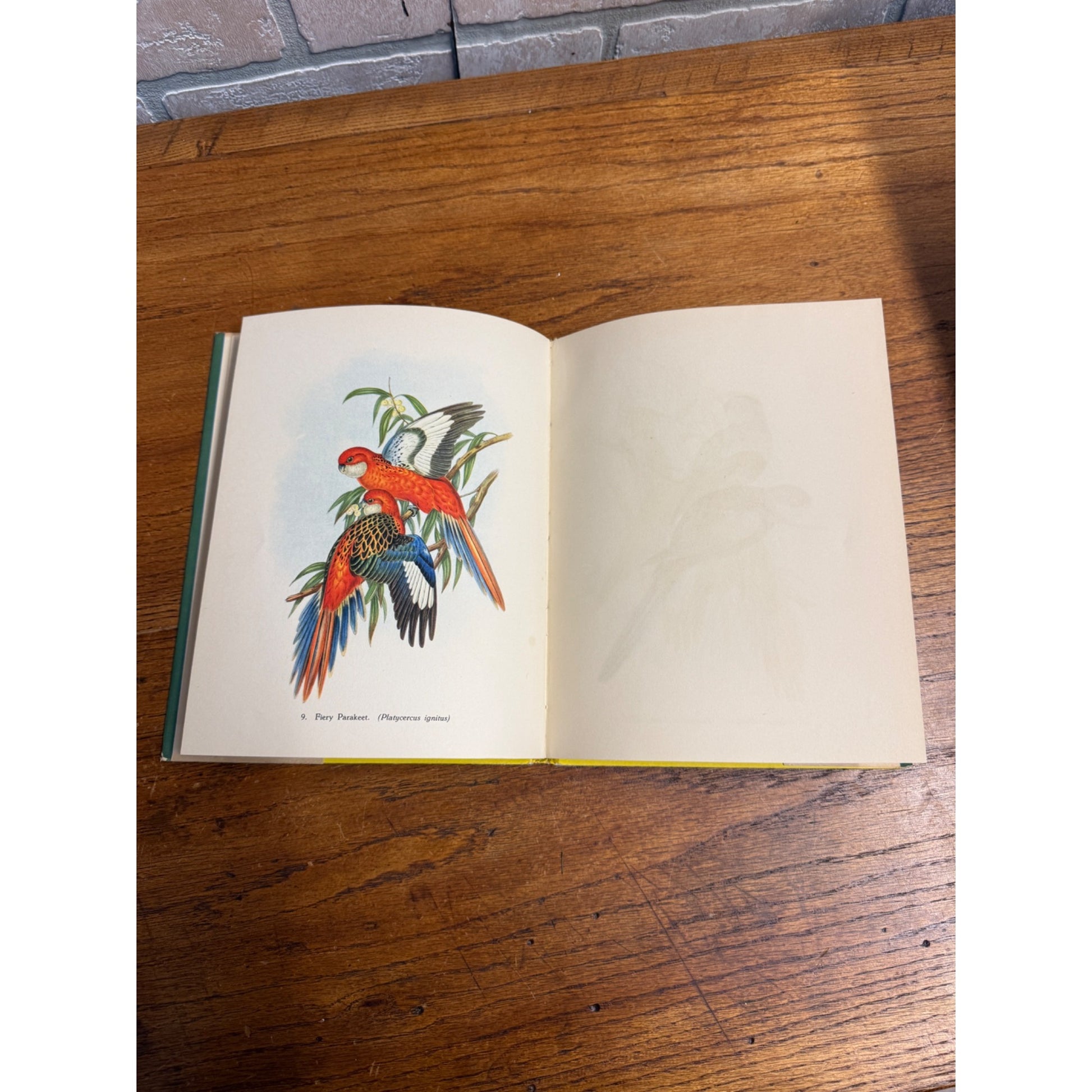 Tropical Birds Plates/pix by John Gould Sacheverell Sitwell Batsford Colour 1948