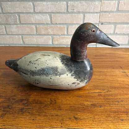 RARE Mason Chesapeake Bay Canvasback Duck Decoy Original Paint Beautiful