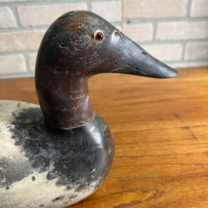 RARE Mason Chesapeake Bay Canvasback Duck Decoy Original Paint Beautiful