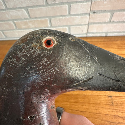 RARE Mason Chesapeake Bay Canvasback Duck Decoy Original Paint Beautiful