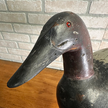 RARE Mason Chesapeake Bay Canvasback Duck Decoy Original Paint Beautiful