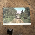 Vintage c1909 Road Near Cobb River Wells Minnesota Postcard MN Minn.