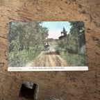 Vintage c1909 Road Near Cobb River Wells Minnesota Postcard MN Minn.
