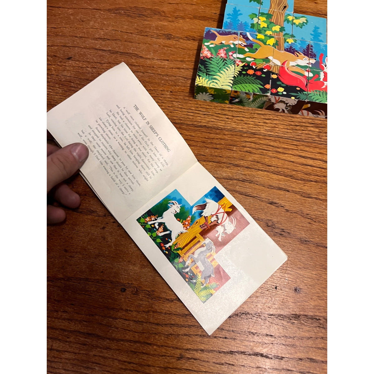 Vintage Aesop's Fables Picture Cubes Children's Puzzle Game and Story Booklet In Wooden Storage Box Complete China Circa 1965
