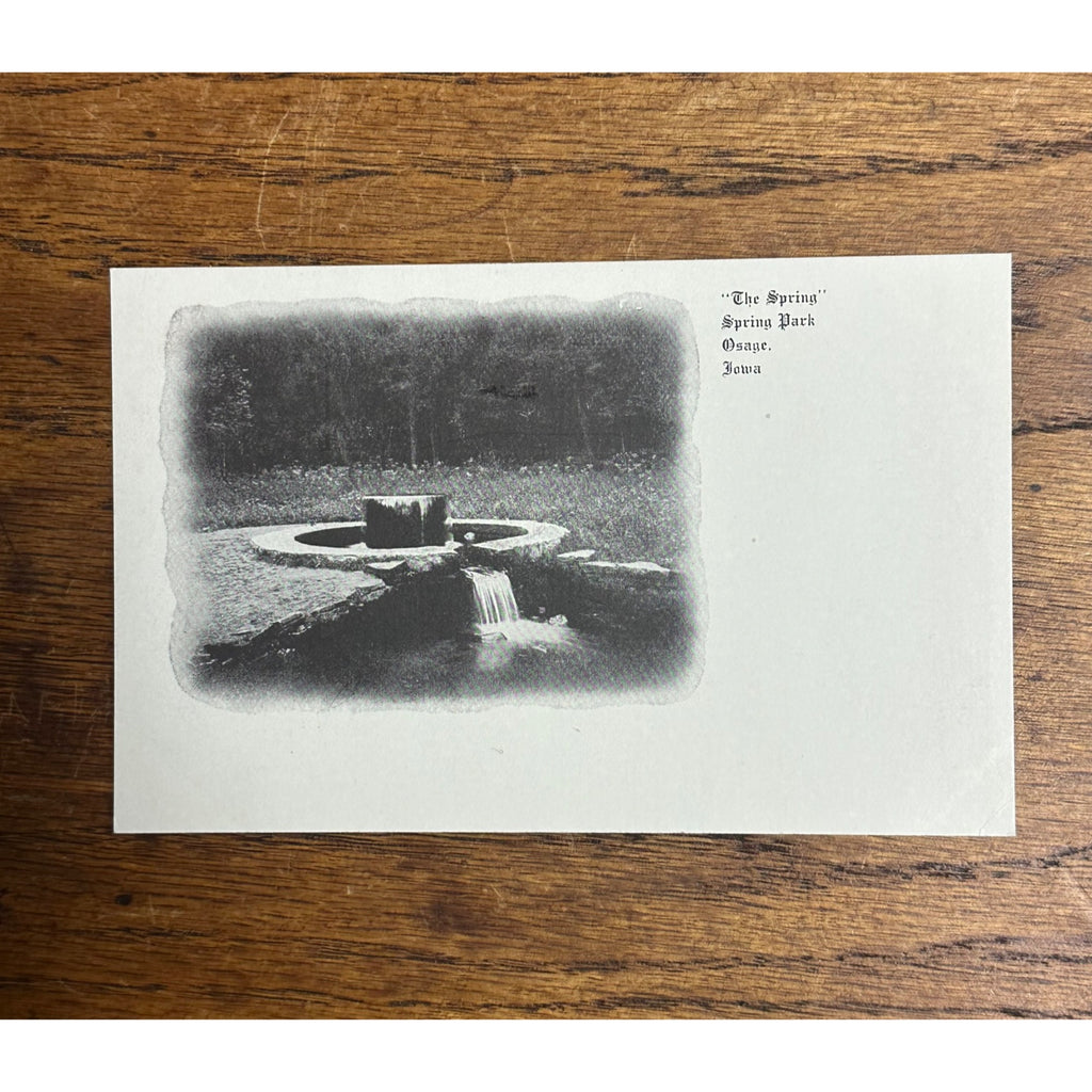 Osage IA Iowa RPPC Postcard The Spring at Spring Park Real Photo  Woolverton