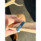 Caribou Mount Taxidermy Shoulder Mount Hunting Cabin Wall Decor