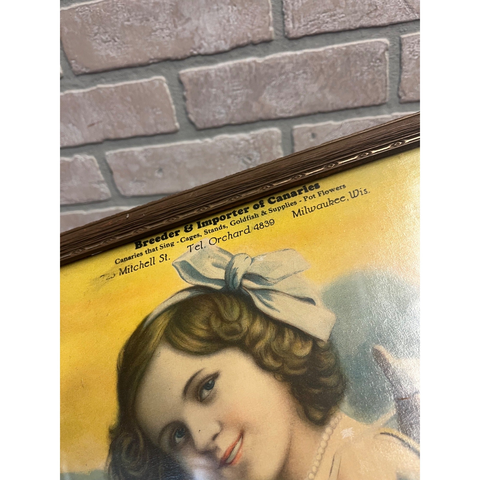 Antique Advertising Litho Breeders of Canaries Milwaukee Wis Victorian Girl & Dog