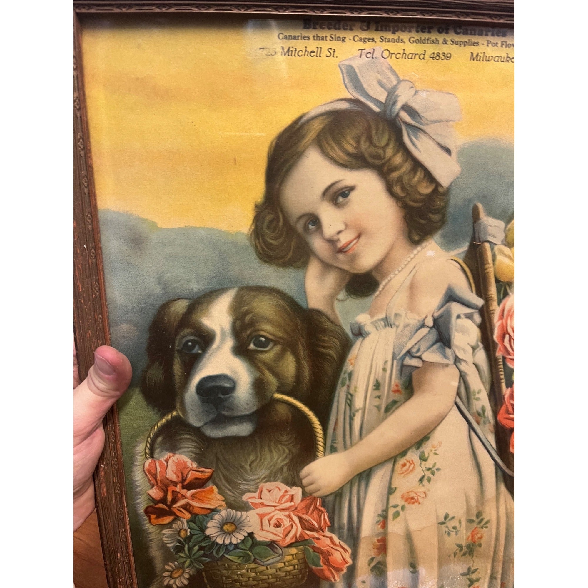 Antique Advertising Litho Breeders of Canaries Milwaukee Wis Victorian Girl & Dog