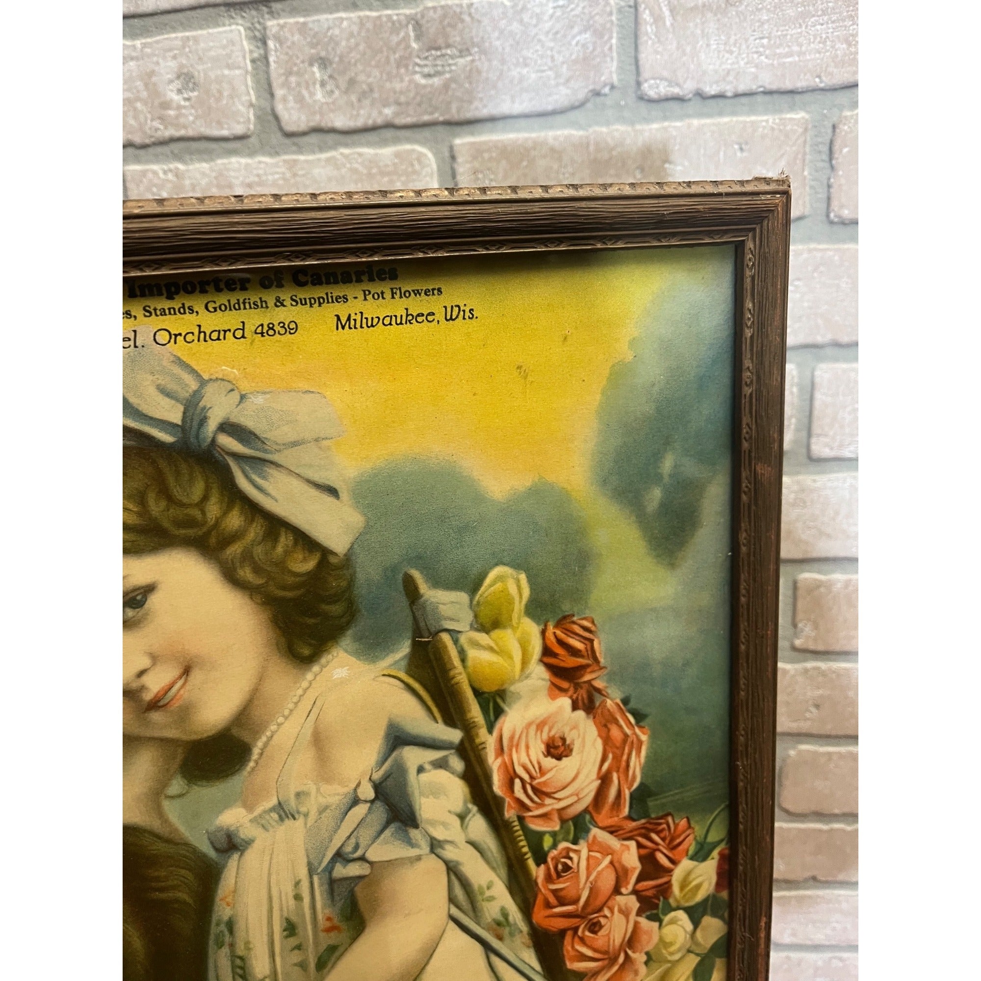 Antique Advertising Litho Breeders of Canaries Milwaukee Wis Victorian Girl & Dog