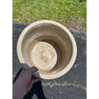 Antique Red Wing 4 Gallon Stoneware Crock Union Stoneware Co. Birch Leaf