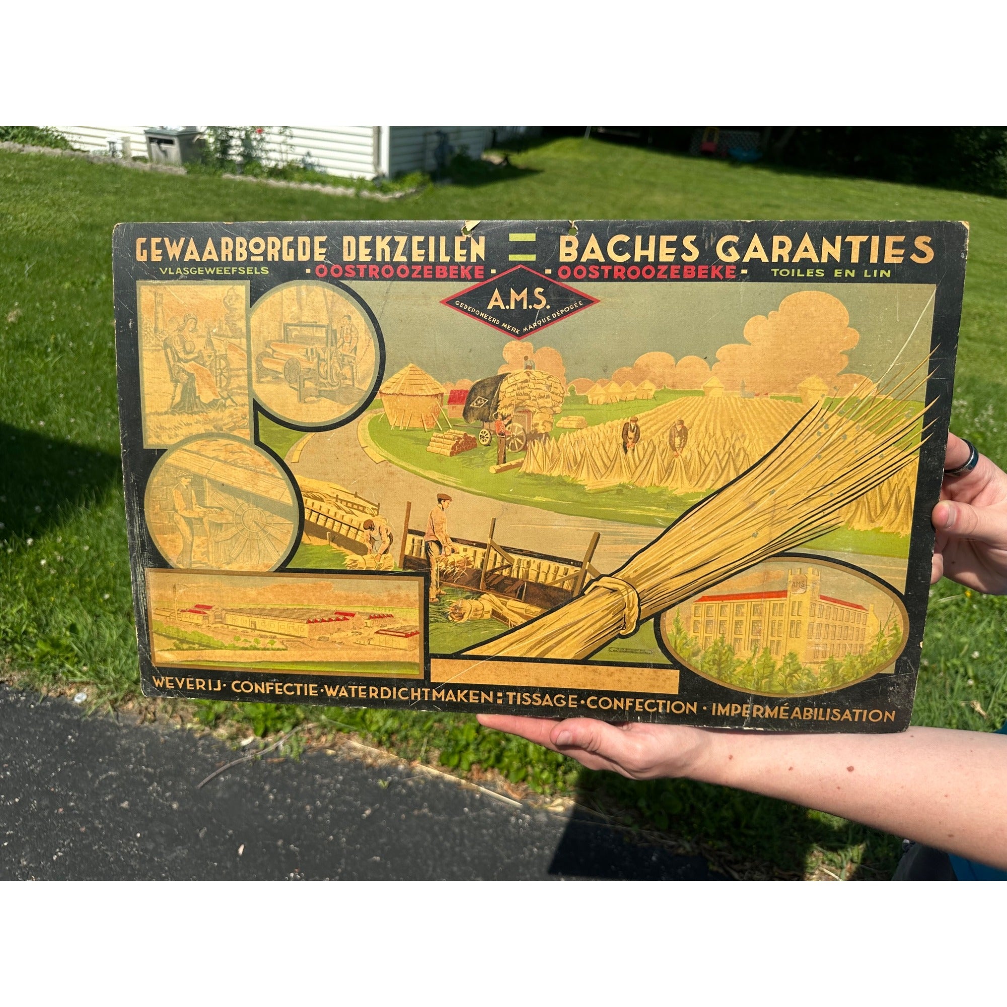 Vintage Belgian Cardboard Making of Wheat AMS Lithographed Advertising Sign