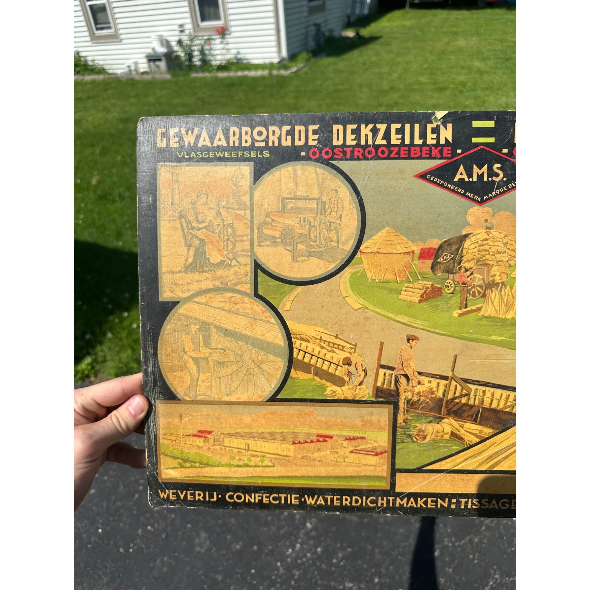 Vintage Belgian Cardboard Making of Wheat AMS Lithographed Advertising Sign