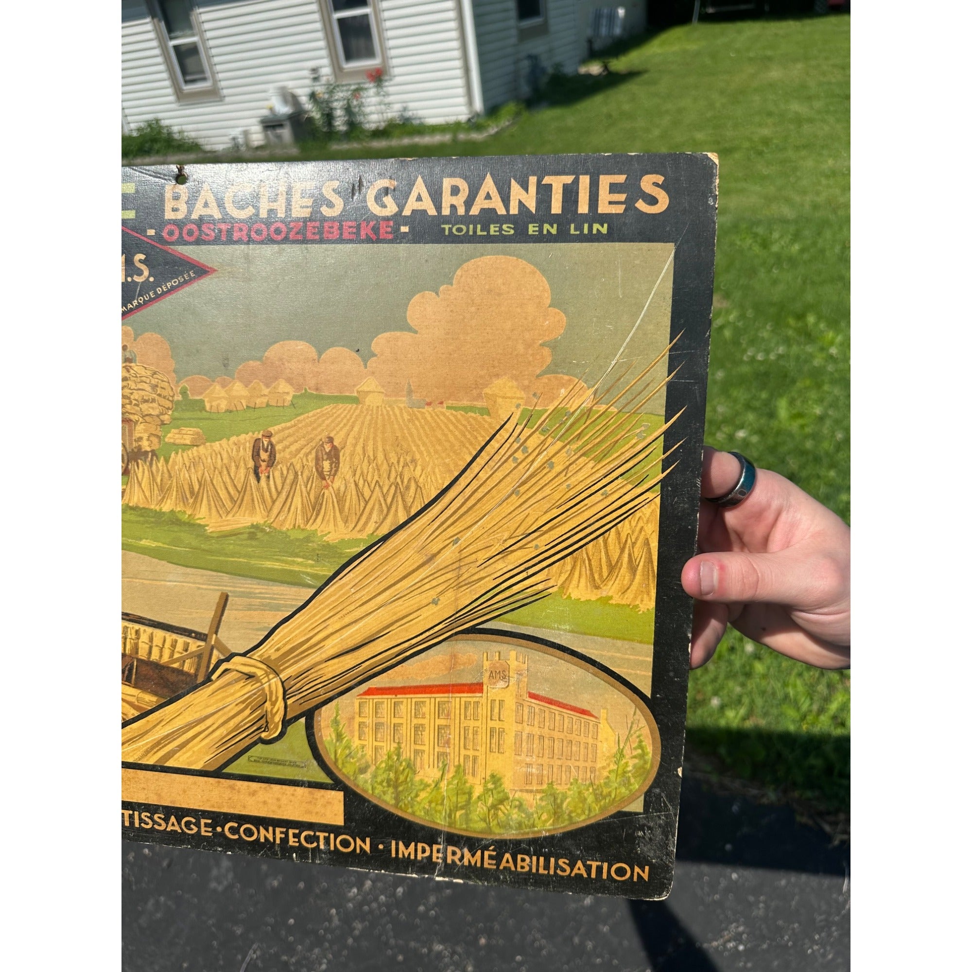 Vintage Belgian Cardboard Making of Wheat AMS Lithographed Advertising Sign