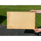 Vintage Belgian Cardboard Making of Wheat AMS Lithographed Advertising Sign