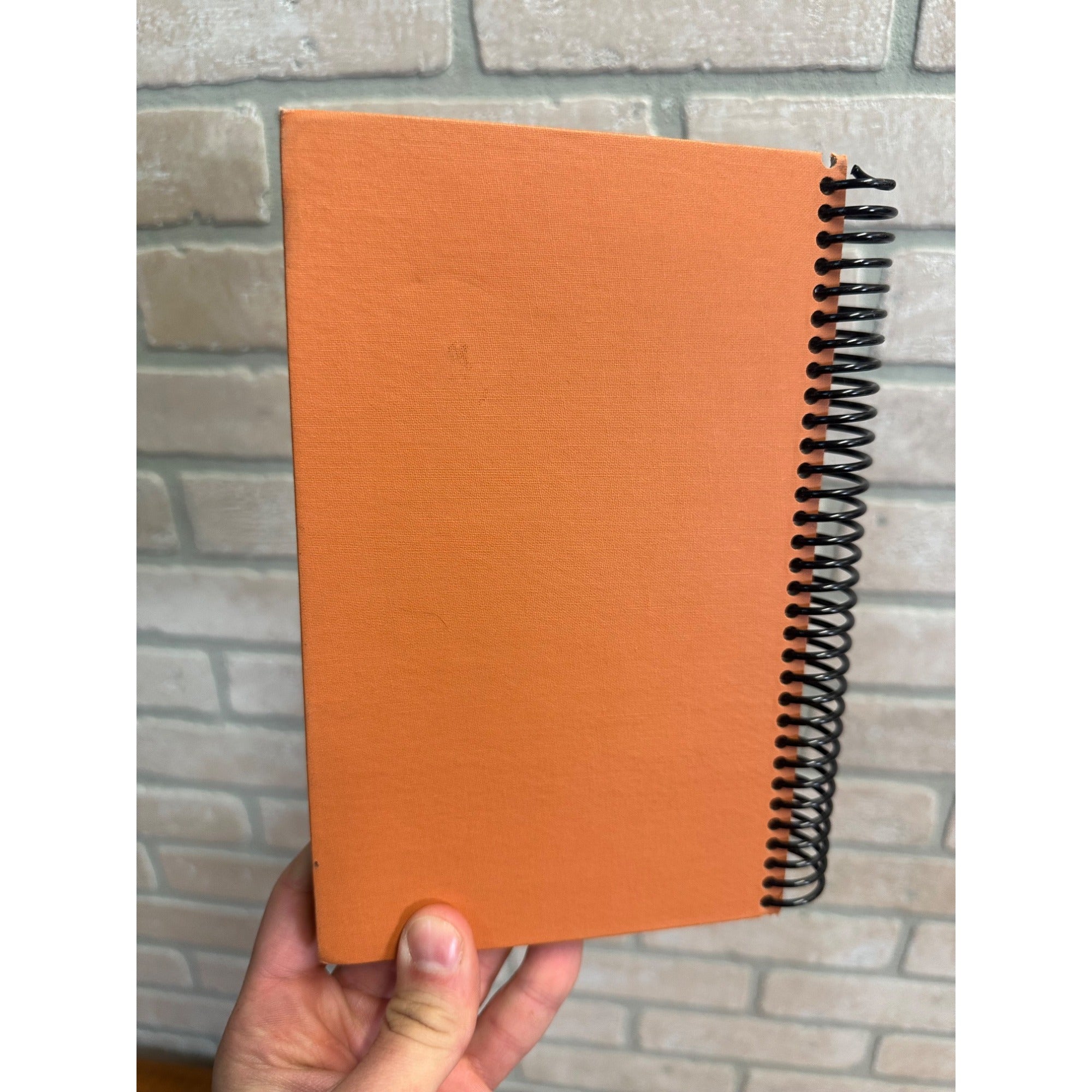 A Dolch First Reading Book Monkey Friends Ex Libris Anonymous Journal UNUSED