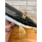 RARE Vintage 1950s Long-Nose Gar Full-Body Fish Wall Mount Taxidermy Genuine