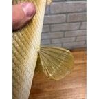 RARE Vintage 1950s Long-Nose Gar Full-Body Fish Wall Mount Taxidermy Genuine